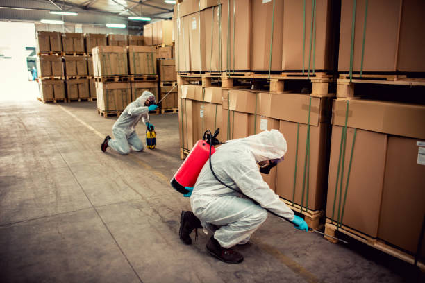 Best Affordable Pest Control Services  in Fort Mitchell, KY