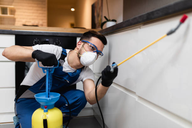Best Flea Control Services  in Fort Mitchell, KY
