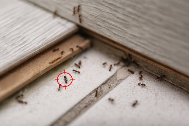 Best Pest Control for Restaurants  in Fort Mitchell, KY