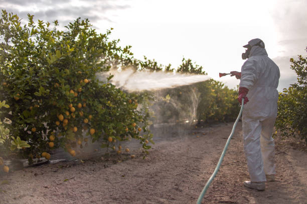 Pest Control for Restaurants in Fort Mitchell, KY