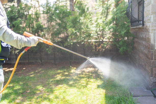 Best Flea Control Services  in Fort Mitchell, KY