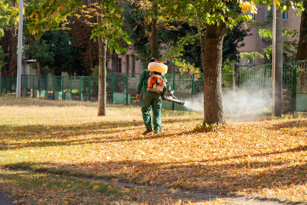 Best Termite Control Services  in Fort Mitchell, KY