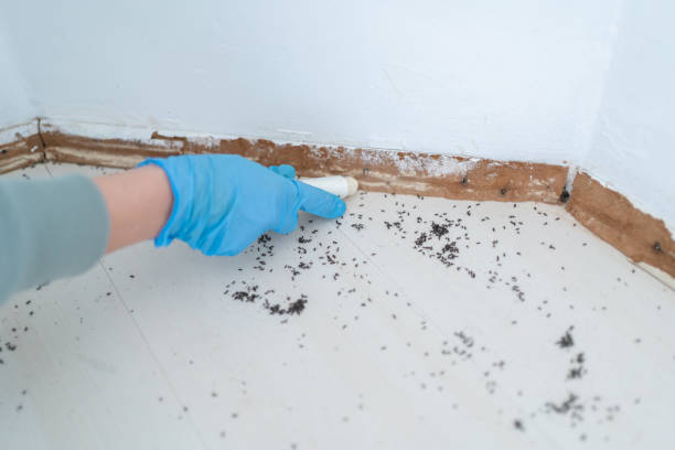 Reliable Fort Mitchell, KY Pest Control Solutions