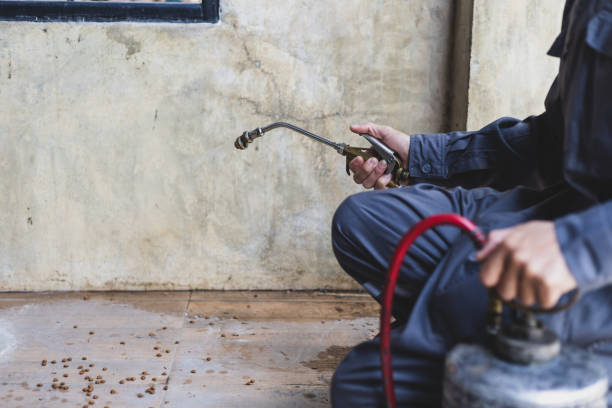 Best Local Pest Control Services  in Fort Mitchell, KY